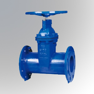 Resilient-Gate-Valve-PN25